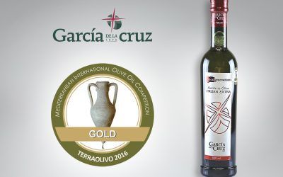 Gold Medal for our 5 Generation at the TerraOlivo Contest in Jerusalem