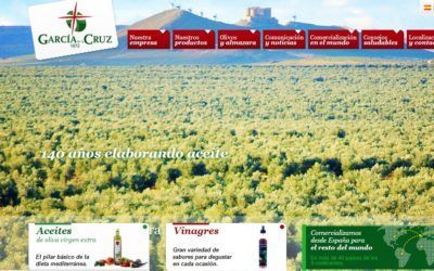 Lanzamiento Nueva Web